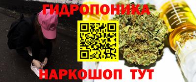 ГАЛЛЮЦИНОГЕННЫЕ ГРИБЫ Гусев