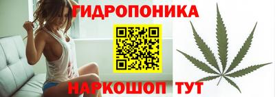 стафф Гусиноозёрск