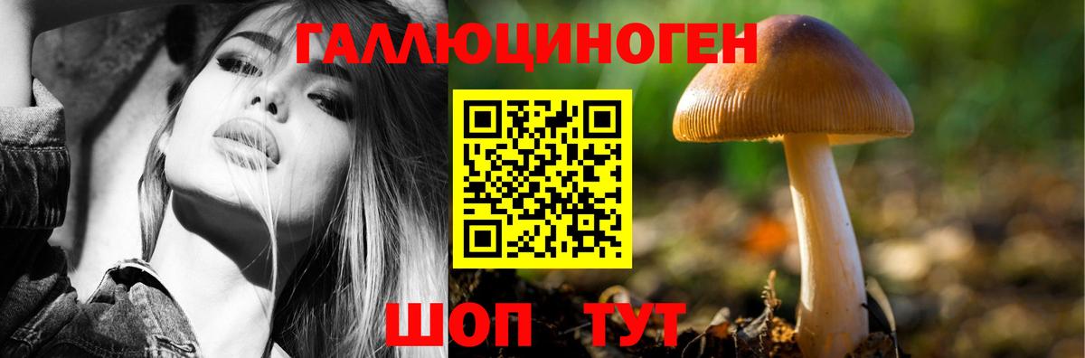 Псилоцибиновые грибы GOLDEN TEACHER Мелеуз